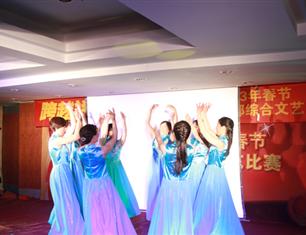 跨越祥和，超越自我—2013春節(jié)聯(lián)歡--財(cái)務(wù)處